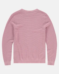 Gaastra Truien En Sweaters*100% Katoenen Boyd Trui