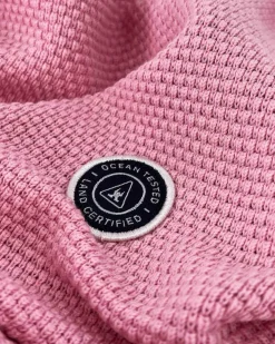 Gaastra Truien En Sweaters*100% Katoenen Boyd Trui