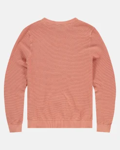 Gaastra Truien En Sweaters*100% Katoenen Boyd Trui