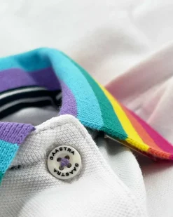 Gaastra Polo'S En T-Shirts*Rainbow Polo